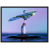 Premium matt papir tre innrammet plakat - vann fugl