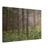 Leinwand - Forest Arboretet