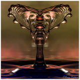 Schaumquadrat - Glasgesicht