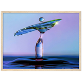 Premium matt papir tre innrammet plakat - vann fugl