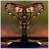 Schaumquadrat - Glasgesicht