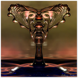 Schaumquadrat - Glasgesicht