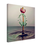 Leinwand-Wasser Blume