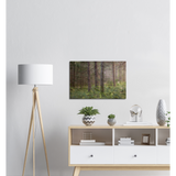 Leinwand - Forest Arboretet
