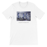 Premium Unisex Crewneck T-Shirt - Pariah