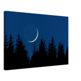 Leinwand - Earthshine.