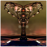 Schaumquadrat - Glasgesicht