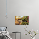 Canvas - Nygaardsparken