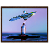 Premium matt papir tre innrammet plakat - vann fugl