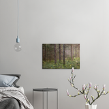 Leinwand - Forest Arboretet