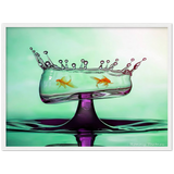 Premium Matte Paper Wooden Framed Poster - Fish Bowl of Water