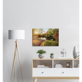 Canvas - Nygaardsparken