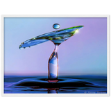 Premium matt papir tre innrammet plakat - vann fugl