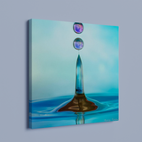 Canvas - Balance Act