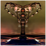 Schaumquadrat - Glasgesicht