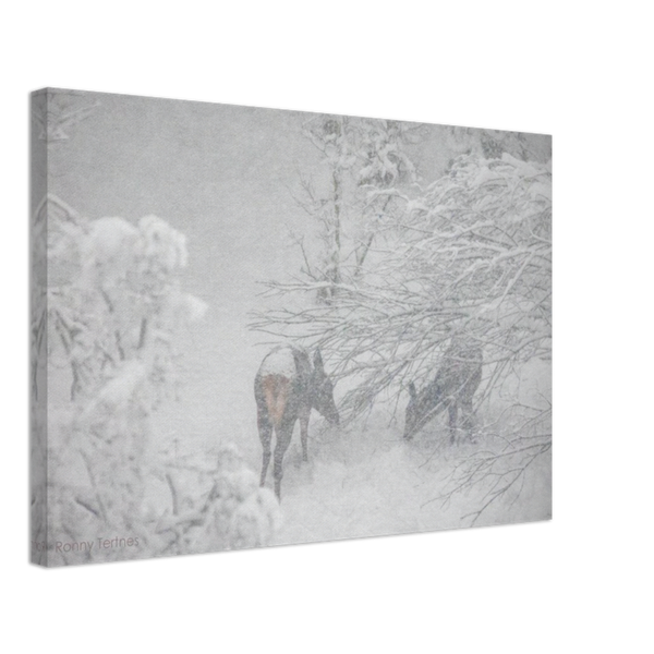 Leinwand-Deer im Winter
