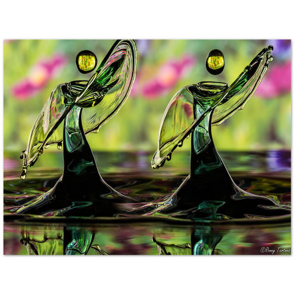 Paysage de mousse - Deux danseurs